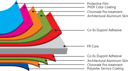 Anatomy Alcolite - Lapisan Alcolite