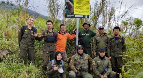 ranger profauna partnerships impack pratama