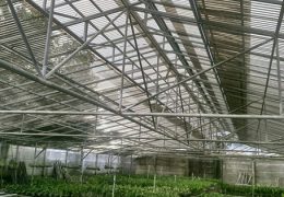 aplikasi atap solartuff greca bronze pada greenhouse budidaya anggrek
