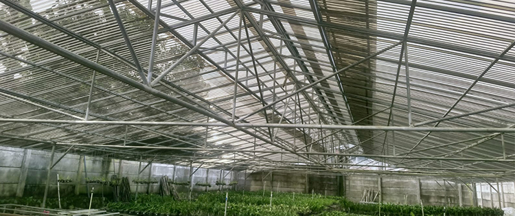 aplikasi atap solartuff greca bronze pada greenhouse budidaya anggrek