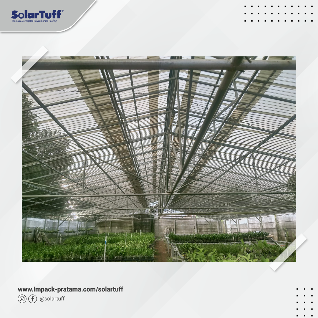 atap solartuff greca bronze pada greenhouse budidaya anggrek