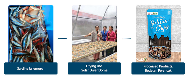 drying fish bedetan perancak bali use solar dryer dome