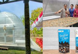 ekonomi kreatif bali solar dryer dome impack