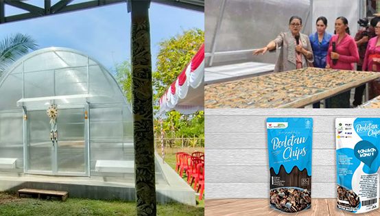 ekonomi kreatif bali solar dryer dome impack