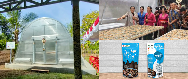 ekonomi kreatif bali solar dryer dome impack