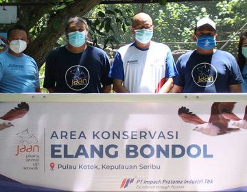 impack alderon rs konservasi elang bondol pulau kotok