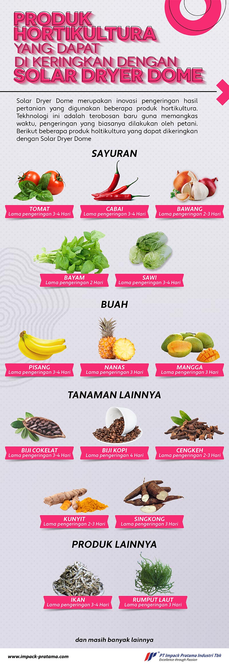 infografis produk hortikultura solar dryer dome