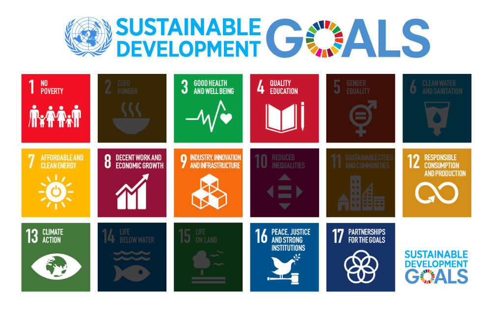 sustainability development goal