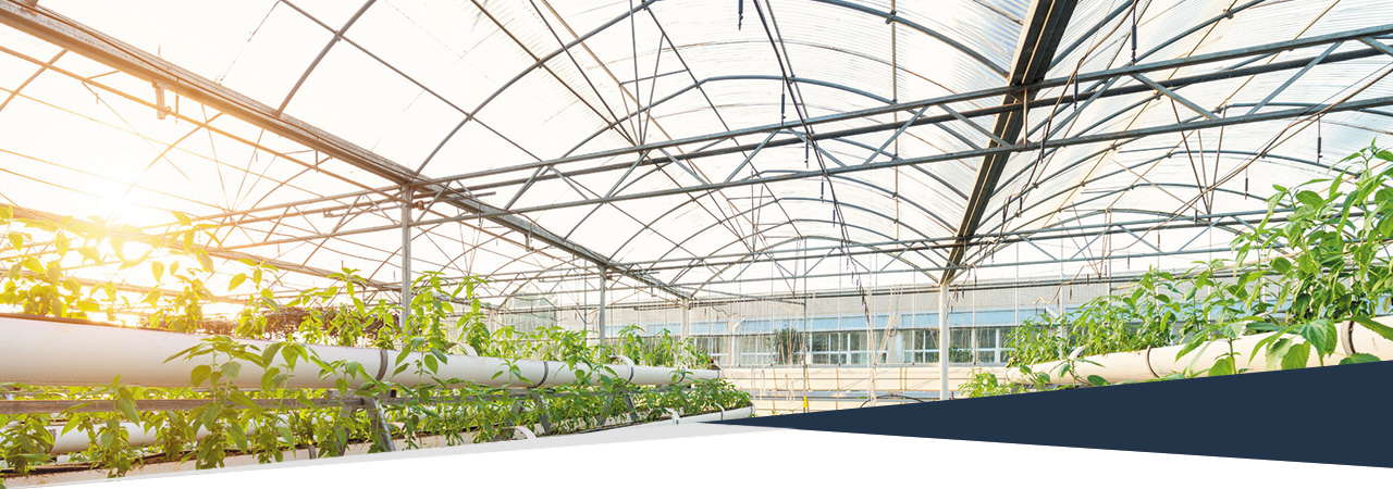 twinlite gen 2 for greenhouse roofing application